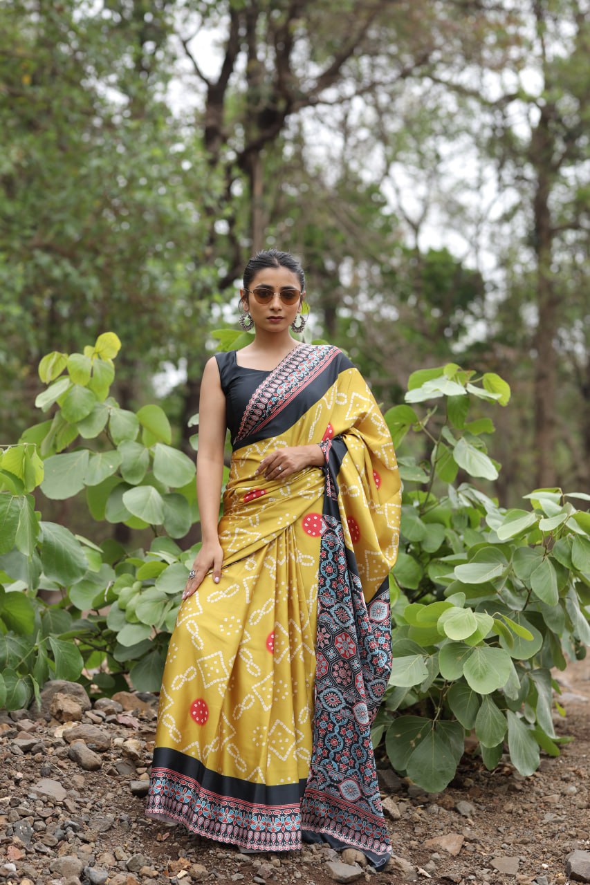 Diagonal Stripe Saree with Stylish Blouse Design