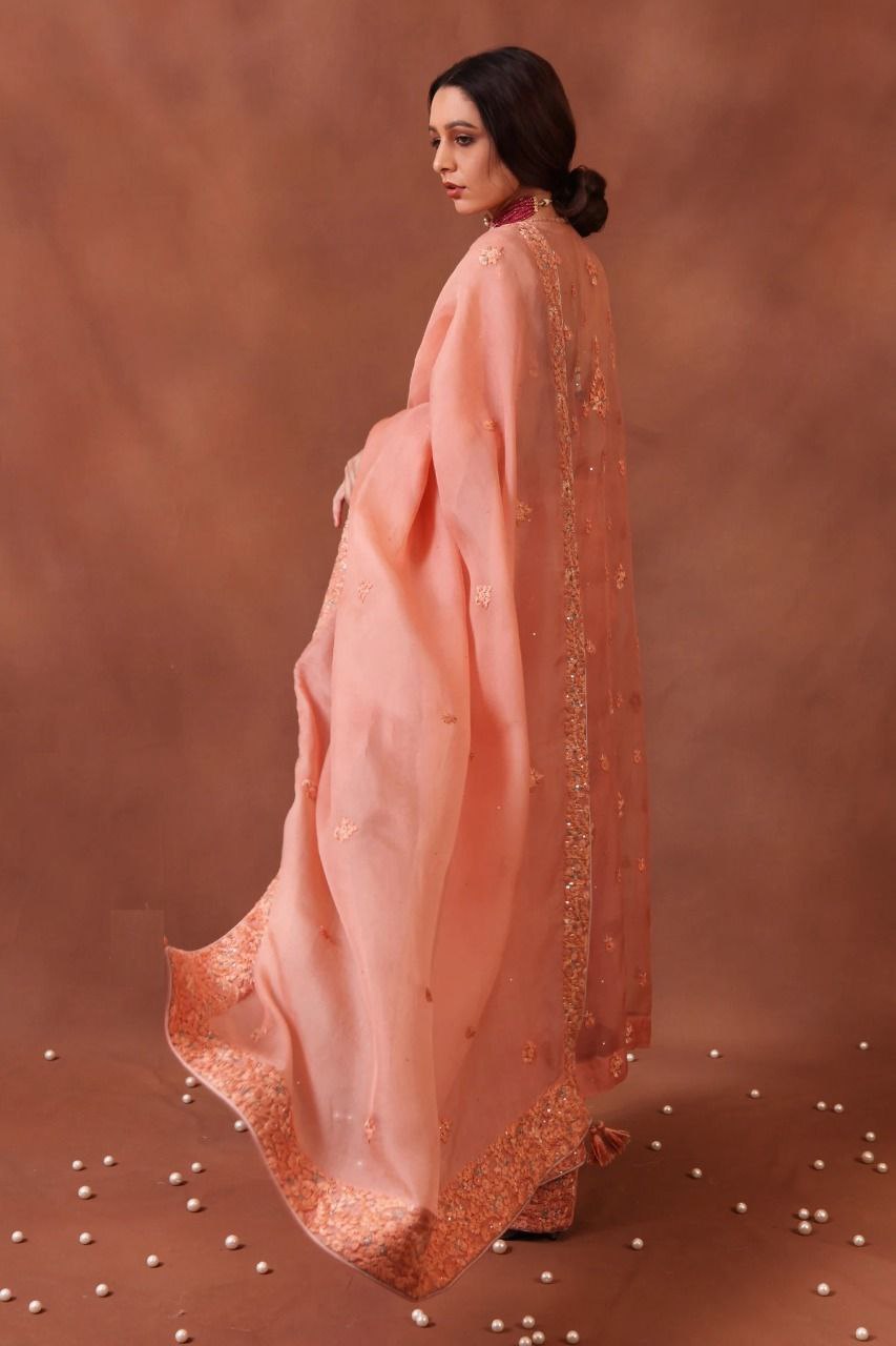 Peach Pure Silk Organza Open Saree